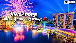 Singapore welcomes 2024 with Happy New Year fireworks ! #travelvlog #singapore #travel #2024 #new
