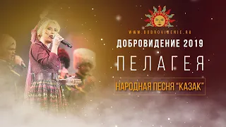 Добровидение 2019 | Пелагея – народная песня “Казак”