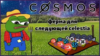 Cosmos ферма. Как забрать все дропы и не упустить следующую CELESTIA?!