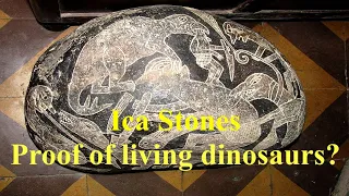 Ica Stones—Proof of Living Dinosaurs?