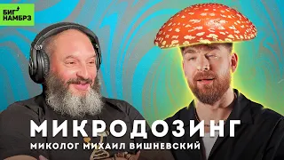 Раз, два, ТРИП | МИКОЛОГ МИХАИЛ ВИШНЕВСКИЙ (часть 2)