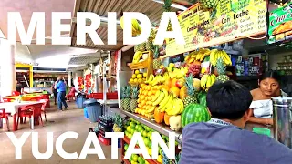 🇲🇽 Walking Tour of Santa Ana in Merida Centro Yucatan Peninsula Mexico | Virtual Travel | 2023