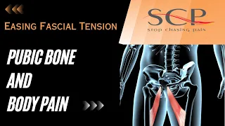 Pubic Bone And Body Pain