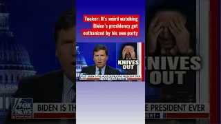 Tucker: Biden is the most destructive president in US history #shorts #shortsfeed