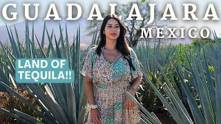 GUADALAJARA IS THE CULTURAL HEART OF MEXICO! (TEQUILA TASTING)