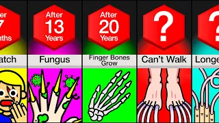 Timeline: What If You Never Cut Your Nails?