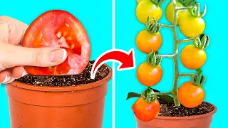 GROW YOUR PLANTS LIKE A REAL PRO || 28 Gardening Hacks For Beginners