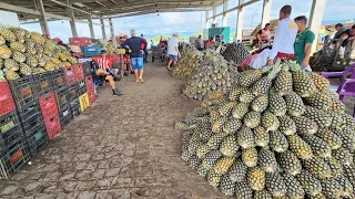 CARUARU TEM  FRUTAS E VERDURAS POR PREÇO BAIXO. OLHA ISTO BRASIL!