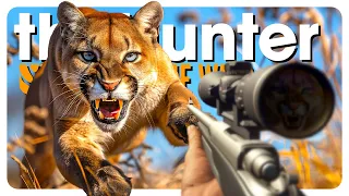 I made PUMAS an ENDANGERED SPECIES (ᵗʰᵉ ᵖᵘᵐᵃ ᵖᵒᵘⁿᵈᵉʳ ʰᵃˢ ʳᵉᵗᵘʳⁿᵉᵈ) | theHunter: Call of the Wild