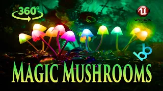 360 VR Video 8K Magic Mushrooms Flythrough Experience