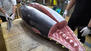 Peroses pemotongan ikan tuna terbesar di dunia