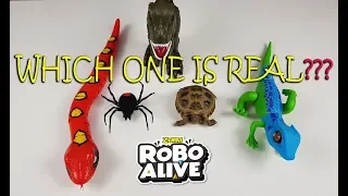 Which One Is Real??? with Robo Alive