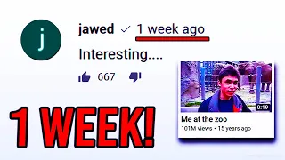 Jawed Posted A NEW Comment On YouTube? (why?)