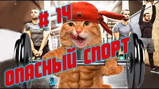 14 ⚡️ Приколы 😈 реакция 🔥 coub 🔥 best cube 🔥 Приколы 2021