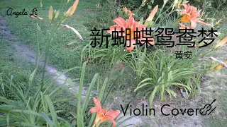 黄安 - 新蝴蝶鸳鸯梦 (电视剧《包青天》主题曲) Violin Cover by Angela