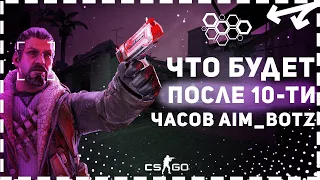 что будет ПОСЛЕ 10 ТИ часов AIM BOTZ