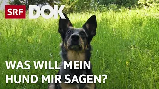 Mit Tieren sprechen | Über die Möglichkeiten der Tierkommunikation | Doku | SRF Dok