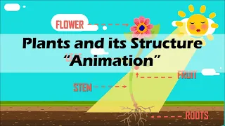 PLANTS (Biology Animation)