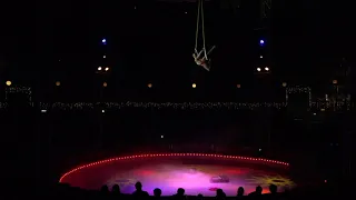 Dance Trapeze / "Bonner Weihnachtscircus"