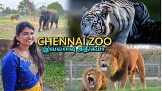 Aggressive Lion🤯 Angry cheetah💥| Arignar Anna Zoological park, vandalur, chennai zoo