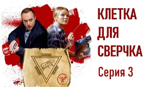 Детективы Анны Малышевой. Клетка для сверчка - Фильм 10 / Серия 3 / Детектив HD