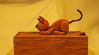 Simple Automata #5 : Cat and Mouse