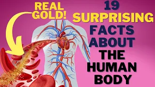 19 SURPRISING human body facts you'll never believe