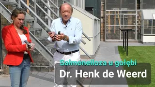 Dr. Henk de Weerd - Współpraca 2024 + produkt dla gołębi na Salmonelloze 🔝🏆🎉 ( Super Film )