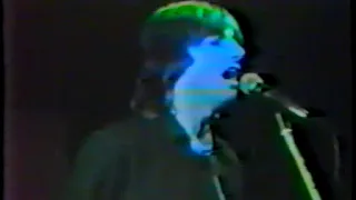 the Barracudas - Live Frankfurt 1984 (48 mn)