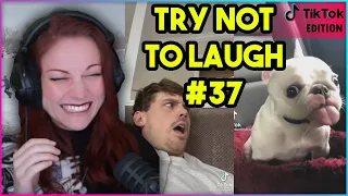 TRY NOT TO LAUGH CHALLENGE #37 (TikTok Edition) | Kruz Reacts