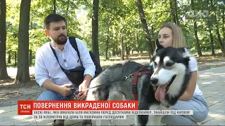 Щасливе повернення Фібі: викрадену собаку знайшли за 30 кілометрів від дому