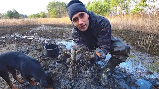 Ловля раков в муле,на спущенном ставе. Жареные раки в казане с чесноком..