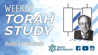 Weekly Torah Study with Rabbi Ed Feinstein - 03/15/24
