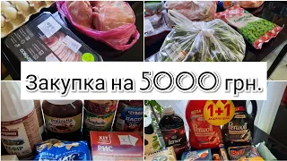 Закупка продуктов / Продуктовая корзина / Покупки на 5000 гривен / Разбираю покупки