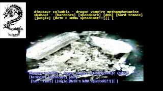 dinosaur columbia   dragon vampire methamphetamine shaboo!   hardcore speedcore dnb hard trance jung