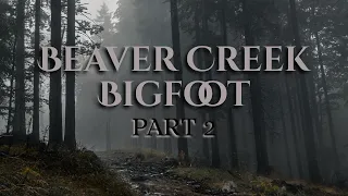 The Beaver Creek Big Foot ( Part 2 )