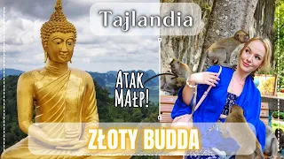 Złoty Budda czy było WARTO? || Świątynia Tygrysa  || Wypożyczenie skutera Krabi || Tajlandia 2024