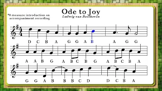Ode to Joy Performance Without Recorder