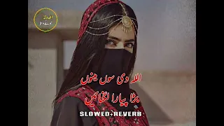 Allah Di Sonh Menu Bara Pyara Lagnain || (Slowed+Reverb) || Allah Ditta Lone Wala ||