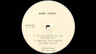 Wang Chung - Wake  Up, Stop Dreaming (Extended Version)