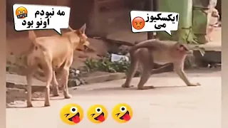 با دیدن این ویدیو ها از خنده گرده درد می شوید 😂😂 | صحنه های خنده دار (قسمت 7)