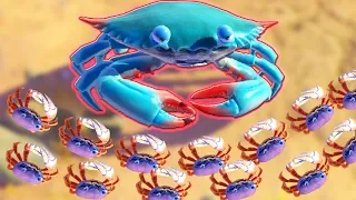 ОГРОМНЫЙ КРАБ ПРОТИВ 1000 КРАБОВ, БИТВА КРАБОВ | King of Crabs