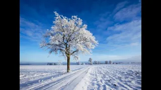 "Allegro moderato" from "Winter" by Antonio Vivaldi