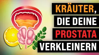 Die besten Kräuter zur Behandlung einer vergrößerten Prostata!