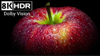 Real 8K HDR Dolby Vision