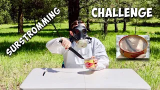 We Tried Surströmming (The Smelliest Food in the World)