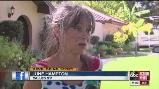 Workers shocked while trimming trees