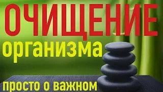 ОЧИЩЕНИЕ ОРГАНИЗМА - сорбенты, продукты, травы, БАДЫ