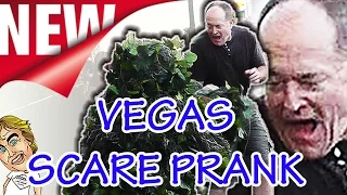 Las Vegas Bushman Scare Prank #335 Ghillie Suit Scare Prank Ryan Lewis Videos #Funnyvideo