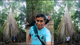 TOUR por la SELVA en IQUITOS 🙊 | #3